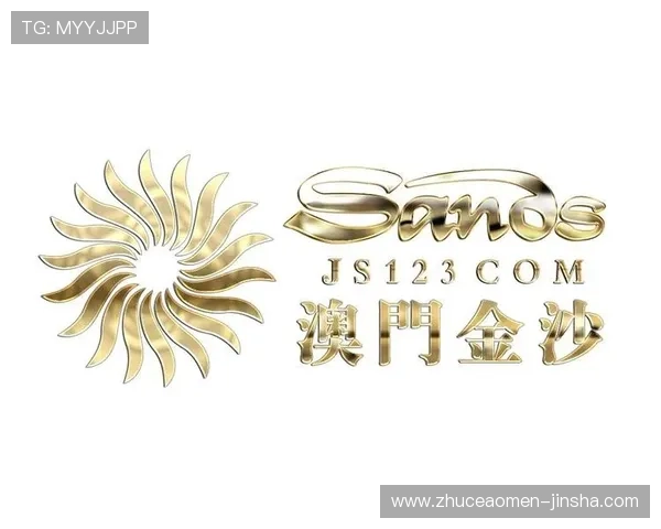 澳门金沙集团网站安全可靠指南，保障您的账户信息与资金安全的实用技巧