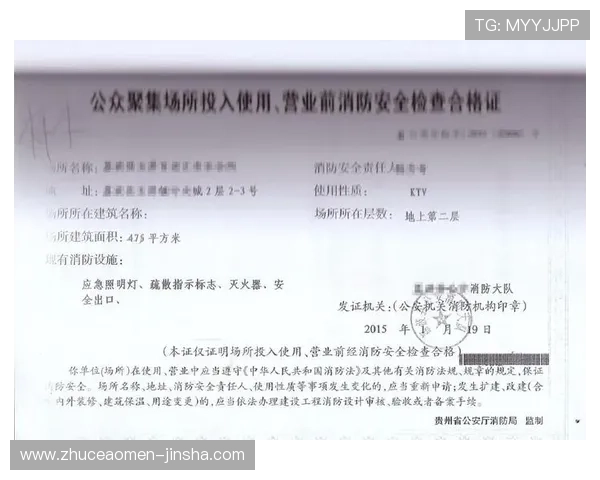 金沙app手机端下载官方渠道推荐，安全稳定快速下载安装指南详解