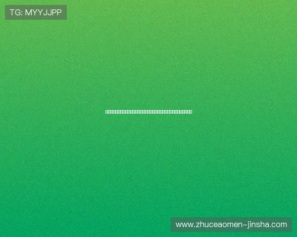 金沙国际娱乐官网入口最新登录指南帮助玩家顺利进入官方平台安全保障全攻略