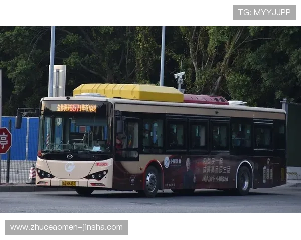 金沙总站615游戏种类丰富多样，满足不同玩家的多样化需求