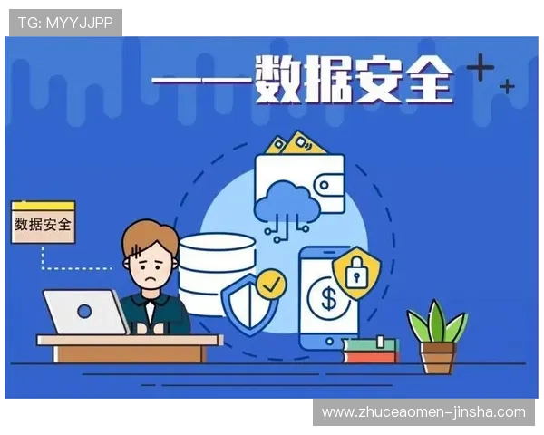 如何提升金沙旗舰网站的安全防护能力有效防止黑客攻击与数据泄露的实用策略