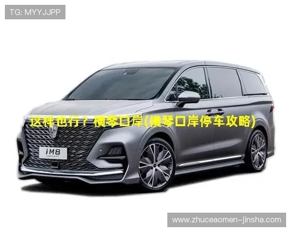 澳门彩网站登录流程全攻略，解决新手用户的登录难题与常见问题