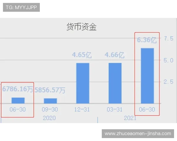 金沙中国集团的主要业务板块与盈利模式详尽介绍